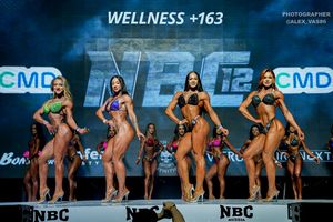 WELLNESS +163